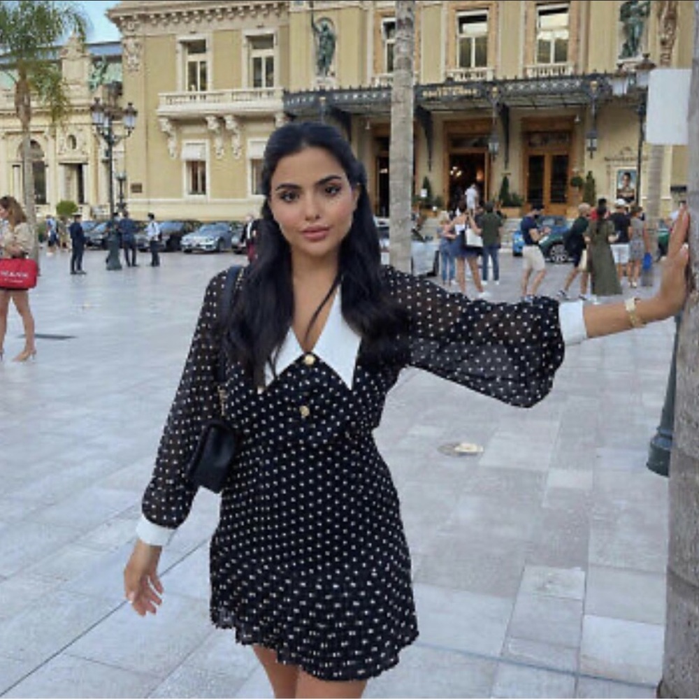 NWT  Zara polka dot dress - blogger favorite